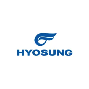 Hyosung Logosu